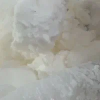 کره محلی گوسفندی