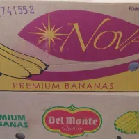 کارتن موز برای اثاث کشی