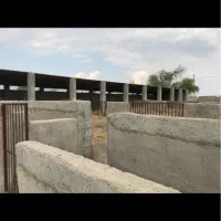 فروش یک باب گاوداری|فروش دفتر صنعتی، کشاورزی، تجاری|بندرعباس, |دیوار
