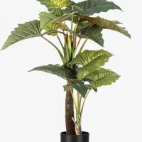 درختچه مصنوعی نو بابا آدم ۳ تنه برند لوتوس درجه ۱