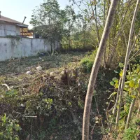 فروش زمین کامل مسکونی با نامه مسکونی|فروش زمین و ملک کلنگی|کوچصفهان, |دیوار