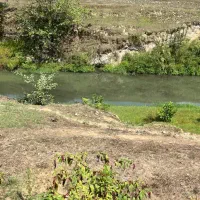 ۱۳۰۰۰ متر زمین ویژه سرمایه‌گذاری در گیلان