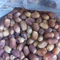 فروش خرمای قصب|خوردنی و آشامیدنی|چاه ورز, |دیوار