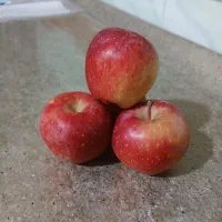 سیب قرمز و سفید|خوردنی و آشامیدنی|انگوران, |دیوار