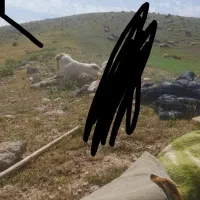 ۶ماه دل