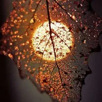 تکه آینه برای کار هنری