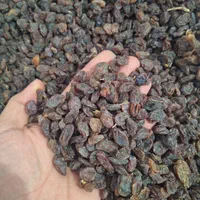 کشمش و مویز|خوردنی و آشامیدنی|شیراز, پودنک|دیوار