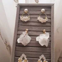 بدلیجات و اکسسوری