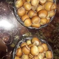 فندوق|خوردنی و آشامیدنی|کرج, شاهین‌ویلا|دیوار