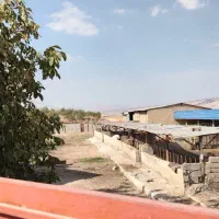 گاوداری ۴هزار متری به همراه باغ۶هزار متری