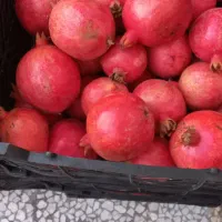 انار لرستان به شرط شیرین، خوش رنگ،(کیلو ۶۵۰۰۰)|خوردنی و آشامیدنی|قم, شهرک سازمان آب|دیوار