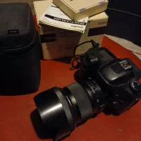 لنز ۵۰ سیگما آرت F1.4 مانت کانن
