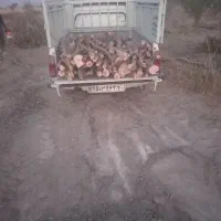 خرید و برش انواع چوب باغی|خدمات باغبانی و درختکاری|هشتگرد, شهرک گلها|دیوار