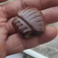 هبهاب کهنه|آرایشی، بهداشتی، درمانی|بندر گز, |دیوار