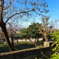 فروش ۲ پلاک مسکونی در شیرگاه (روستای چالی)|فروش زمین و ملک کلنگی|شیرگاه, |دیوار