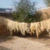 تولیدی کالای خواب|رختخواب، بالش، پتو|مرند, |دیوار