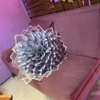 دسته گل و پول ارایی|گل مصنوعی|دورود, |دیوار