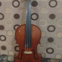 ویولن