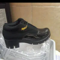 کفش زنانه|کیف، کفش، کمربند|اصفهان, فرح آباد|دیوار