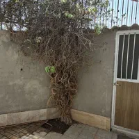 منزل ویلایی فروشی با ۹۵ متر زمین در مجیدیه ۱۴|فروش خانه و ویلا|مشهد, جاهد شهر|دیوار