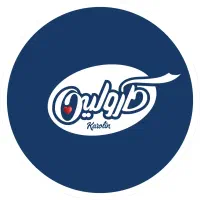 استخدام نیرو در کارخانه بستنی