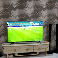 ال ای دی ۵۵  اینچ  ایکس ویژن Oltra 4k