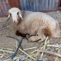 ۲۸۰۰۰۰۰۰۰۰