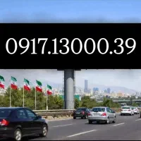 0917.13000.39