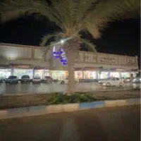 تور قشم/مشهد