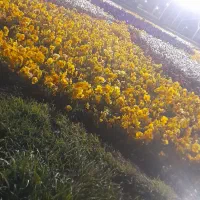 دربستی و در اختیار