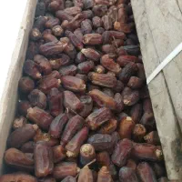 خرما استعمران صادراتی درجه یک یک|عمدهفروشی|شادگان, |دیوار