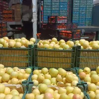 حسابدار بازنشسته