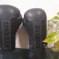 دستکش بوکس حرفه ای SPAR BAR