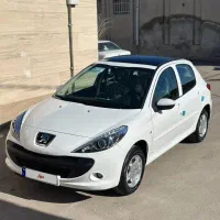 ۲۰۷ پانا پلاس رینگ خشک