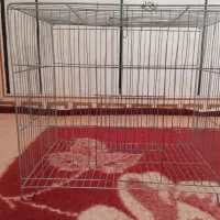 قفس|لوازم جانبی حیوانات|خرم‌آباد, |دیوار