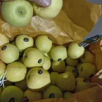 سیب|خوردنی و آشامیدنی|سیلوانه, |دیوار