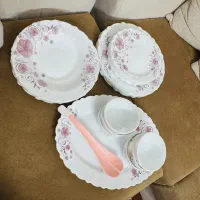 ارکوپال نو داخل کارتن|ظروف سرو و پذیرایی|پاکدشت, پاکدشت (مامازند)|دیوار