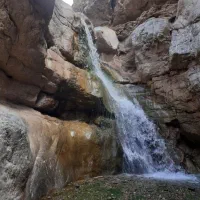 طبیعت گردی
