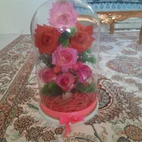 گل مصنوعی  نونو