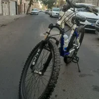 دوچرخه ویوا اصل تایوان
