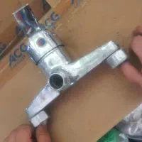 شیر دوقلو