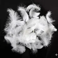 پر مرغ بهداشتی و استریل شده برای بالش بسته 15 کیلو|رختخواب، بالش، پتو|صفادشت, |دیوار