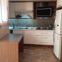 نظافت کار خانم جوان