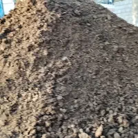 پخش  کود حیوانی گاوی خالص