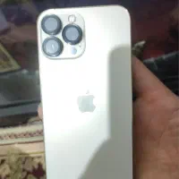 شرکتی Iphone 13promax|موبایل|اردبیل, |دیوار