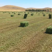 بیلر رامش صنعت