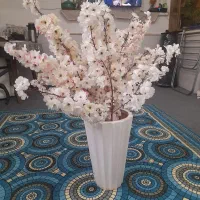 شکوفه با کلدان