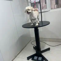 میز گرومینگ میز اصلاح حیوانات