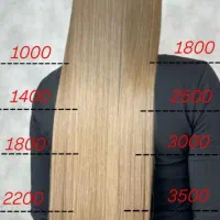 ۵۰ درصد تخفیف