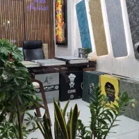 پرده|پرده، رانر، رومیزی|برازجان, |دیوار